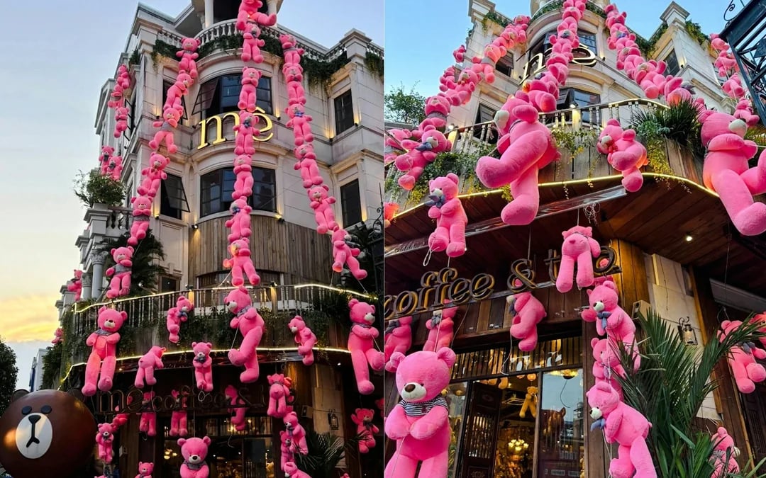 Ho Chi Minh City Walking Tour with Teddy Bear Café Drink and Monet Digital Art Exhibition Ticket Image 2