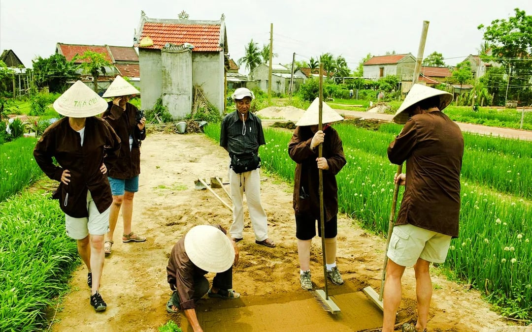 Hoi An Countryside Bicycle Tour with Tra Que Vegetable Village Farming Experience and Lunch Image 5