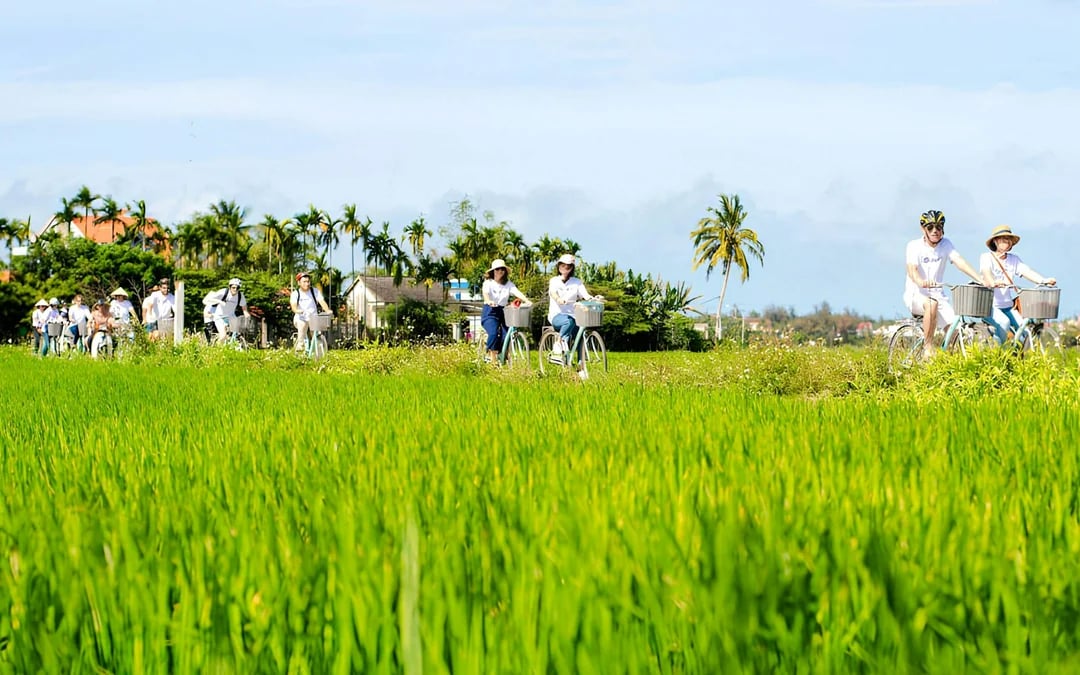 Hoi An Countryside Bicycle Tour with Tra Que Vegetable Village Farming Experience and Lunch Image 7