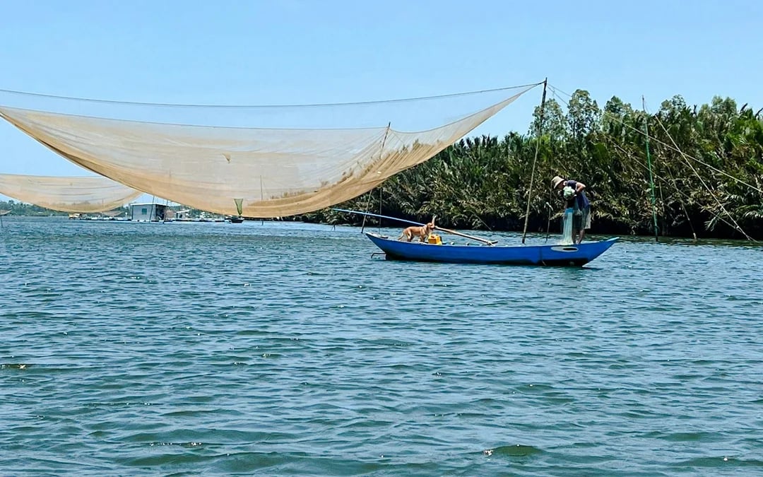 Hoi An Private Tra Nhieu Village Cycling Tour with Basket Boat Ride, Noodle-Making and Lunch Image 9