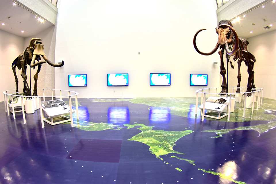 Hokkaido, Sapporo | Hokkaido Museum WEB Ticket | Instant Booking Confirmation