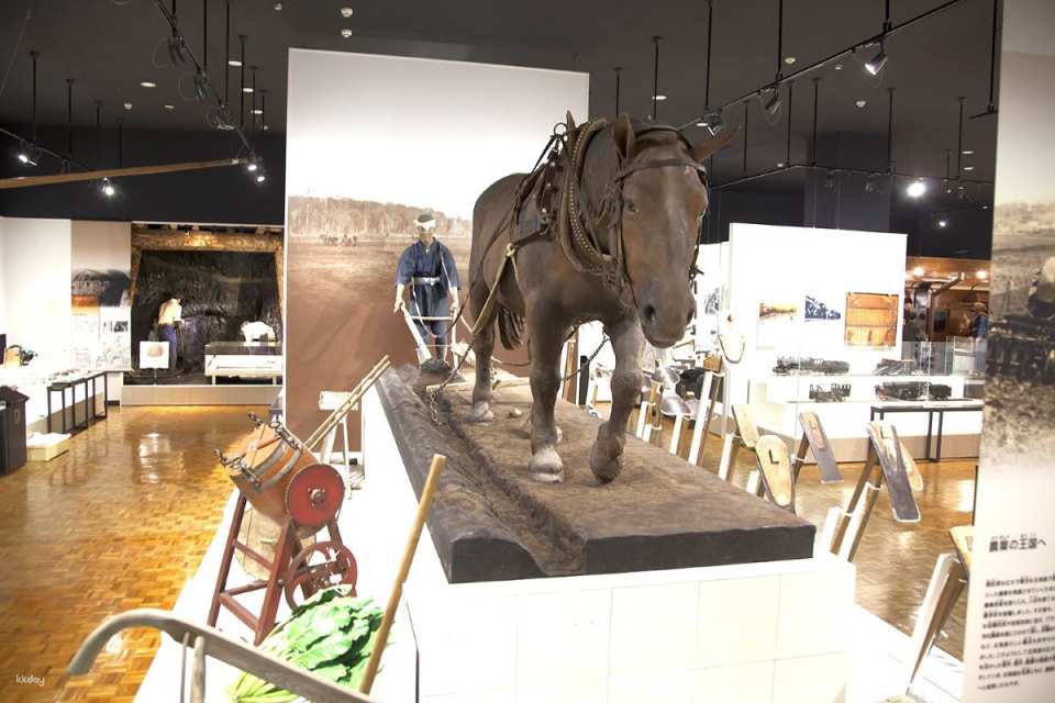 Hokkaido, Sapporo | Hokkaido Museum WEB Ticket | Instant Booking Confirmation
