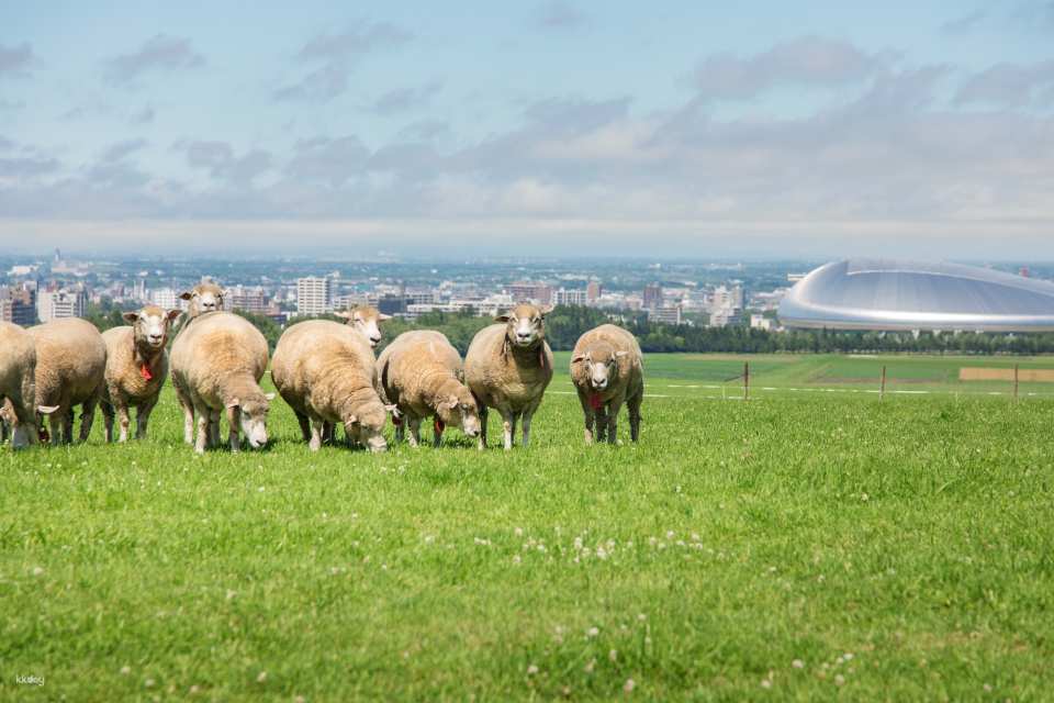 [Limited time offer! Up to 10% off]Hokkaido Must-See: Sapporo Hitsujigaoka Observation Hill Ticket | Japan