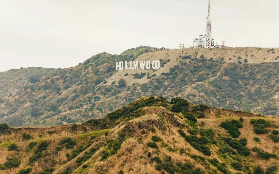 Hollywood Sightseeing & Celebrity Homes Tour Image 10