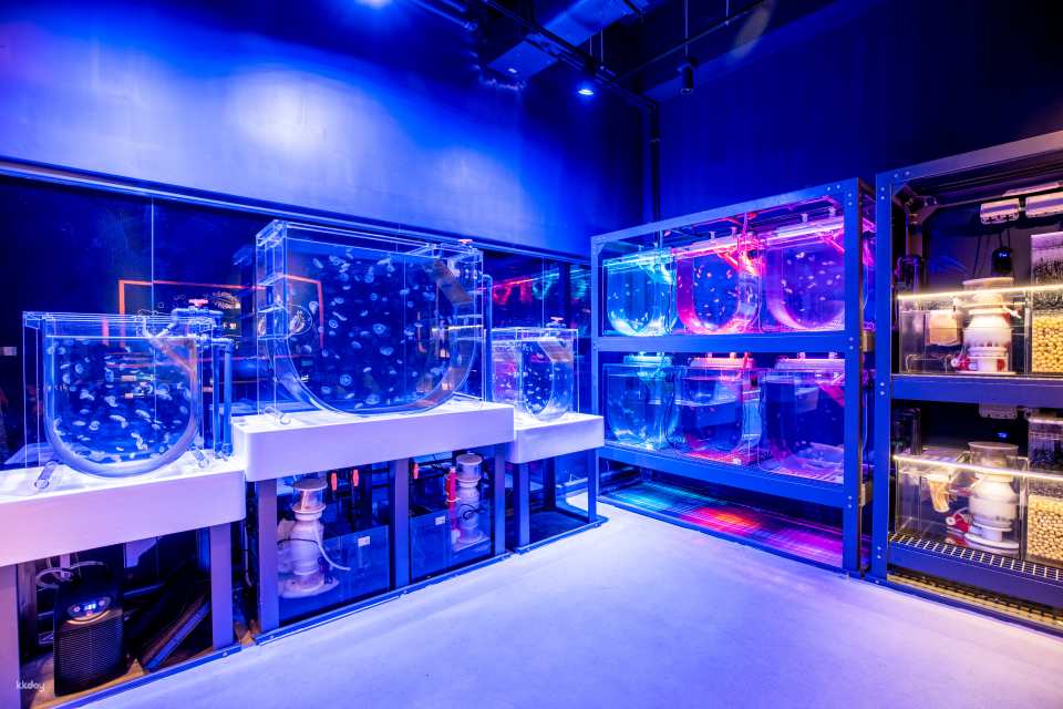 Hong Kong Ocean Cube Discovery Center | Hong Kong’s first ocean experience center | 2-hour experience ticket. Day ticket to explore the museum|A great place for parents and children