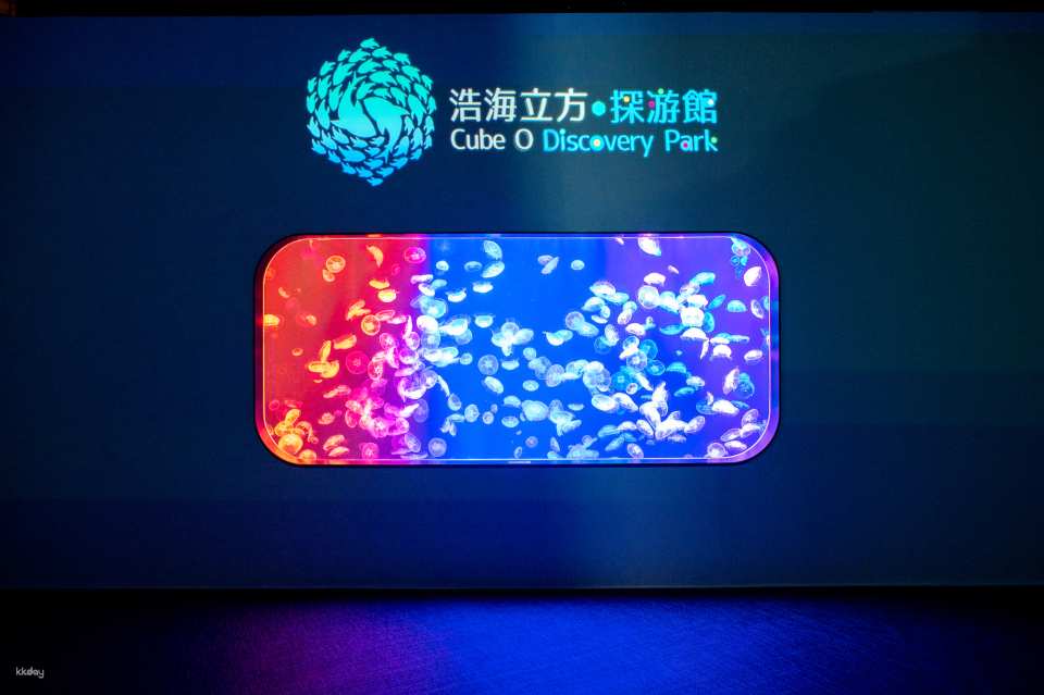 Hong Kong Ocean Cube Discovery Center | Hong Kong’s first ocean experience center | 2-hour experience ticket. Day ticket to explore the museum｜A great place for parents and children