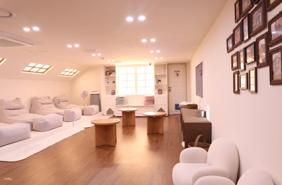 ROOF CAT ME Cat Cafe Weekday Discount Admission Ticket