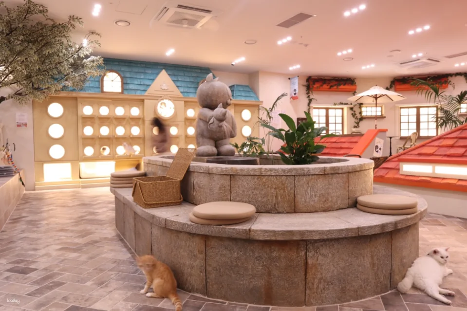ROOF CAT ME Cat Cafe Weekday Discount Admission Ticket
