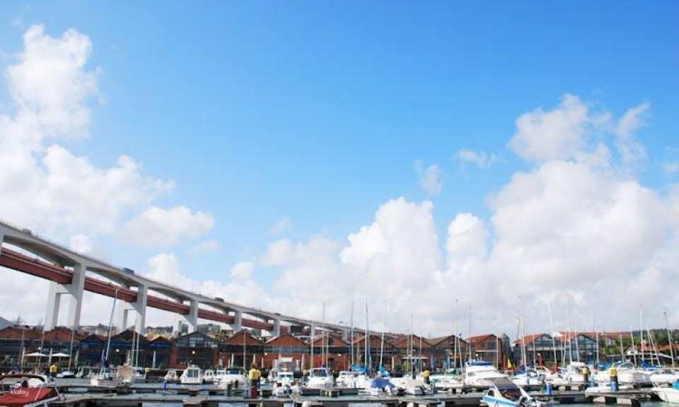 Hop-on hop-off bus tour tickets for Lisbon's main avenues and historical quarter