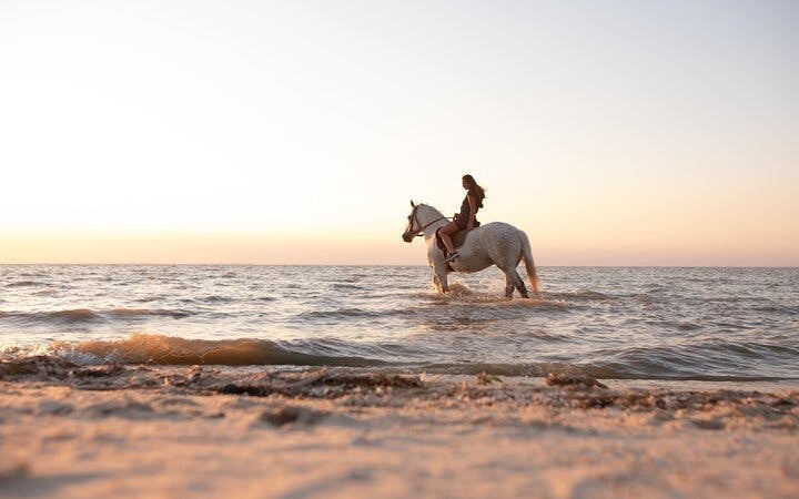 Horse Riding 2 Hours in Nabq Bay beach W/Transfer-Sharm El Sheikh Image 2