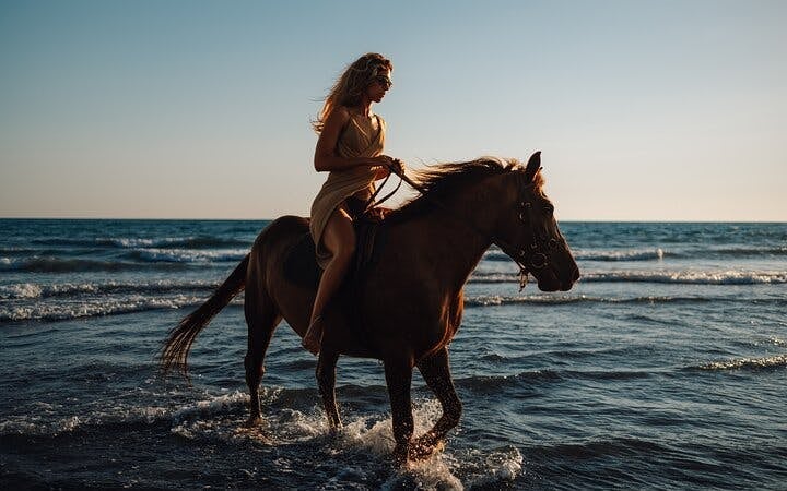 Horse Riding 2 Hours in Nabq Bay beach W/Transfer-Sharm El Sheikh Image 3