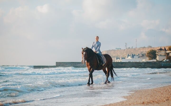 Horse Riding 2 Hours in Nabq Bay beach W/Transfer-Sharm El Sheikh Image 4
