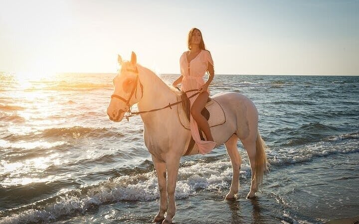Horse Riding 2 Hours in Nabq Bay beach W/Transfer-Sharm El Sheikh Image 5