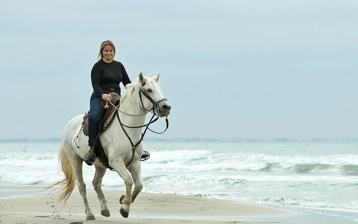 Horse Riding 2 Hours in Nabq Bay beach W/Transfer-Sharm El Sheikh Image 6