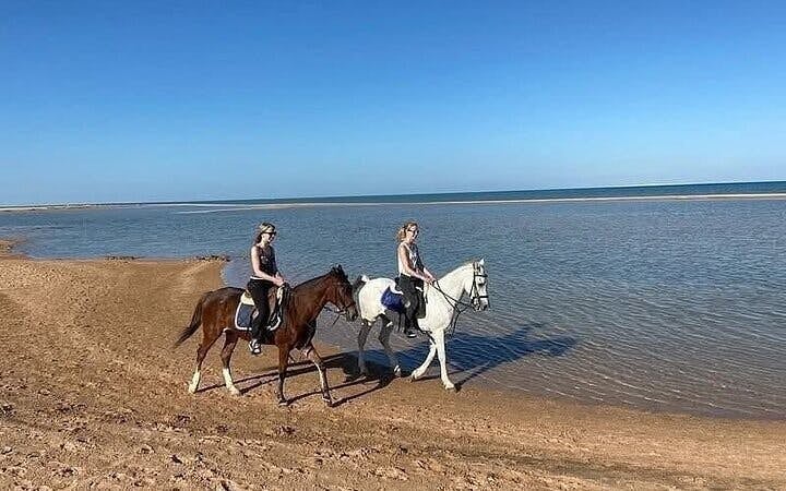 Horse Riding 2 Hours in Nabq Bay beach W/Transfer-Sharm El Sheikh Image 7
