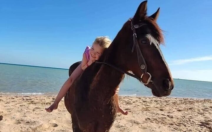 Horse Riding 2 Hours in Nabq Bay beach W/Transfer-Sharm El Sheikh Image 9