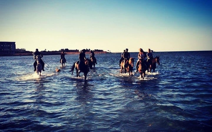 Horse Riding 3 Hours Beach, Desert, Swimming by Horse at Red Sea - Hurghada Image 4