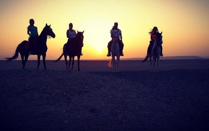 Horse Riding 3 Hours Beach, Desert, Swimming by Horse at Red Sea - Hurghada Image 5