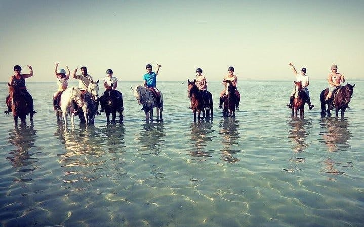 Horse Riding 3 Hours Beach, Desert, Swimming by Horse at Red Sea - Hurghada Image 8