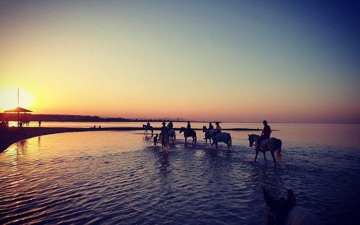 Horse Riding 3 Hours Beach, Desert, Swimming by Horse at Red Sea - Hurghada Image 9
