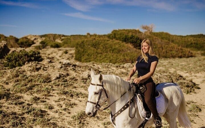 Horse Riding Adventure in Palmeraie Grove & Transfer - Marrakesh Image 2