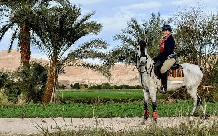 Horse Riding Adventure in Palmeraie Grove & Transfer - Marrakesh Image 5