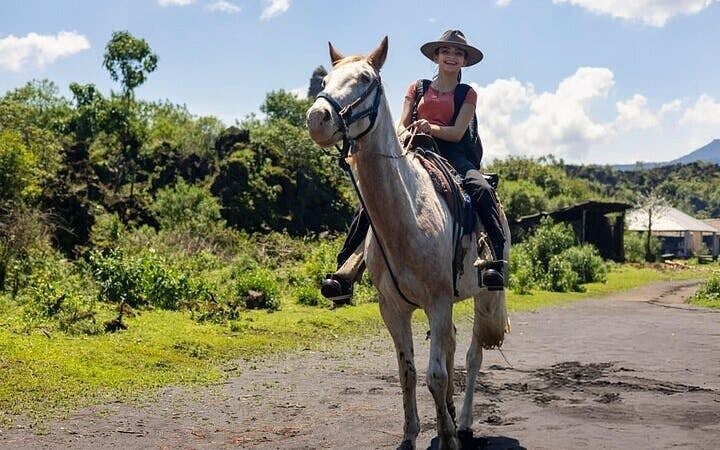 Horse Riding Adventure in Palmeraie Grove & Transfer - Marrakesh Image 6