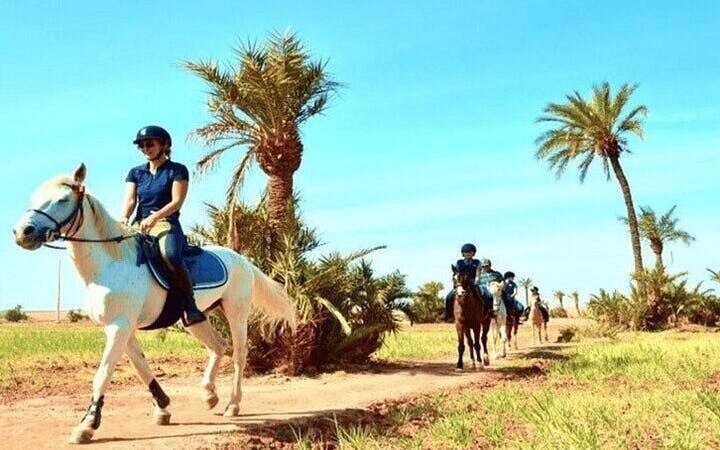 Horse Riding Adventure in Palmeraie Grove & Transfer - Marrakesh Image 7