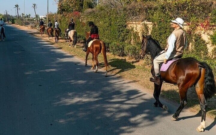 Horse Riding Adventure in Palmeraie Grove & Transfer - Marrakesh Image 8