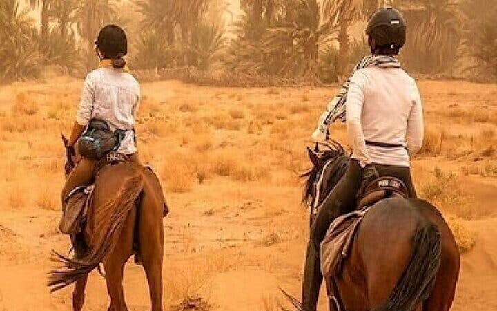 Horse Riding Adventure in Palmeraie Grove & Transfer - Marrakesh Image 9