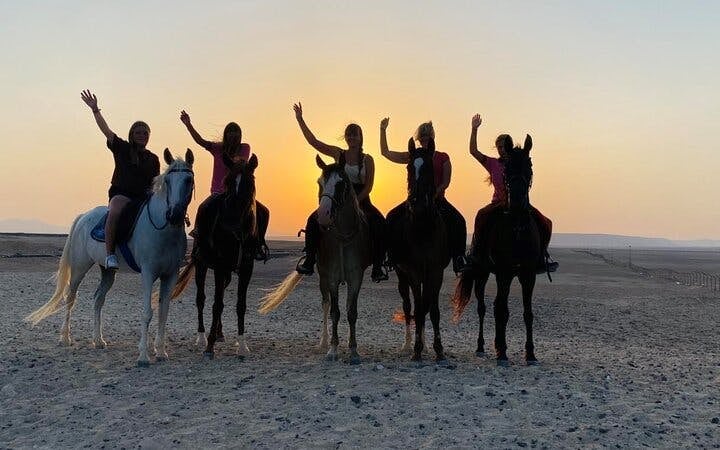 Horse Riding At Desert 2 Hours with Transfer - Sharm El Sheikh Image 3