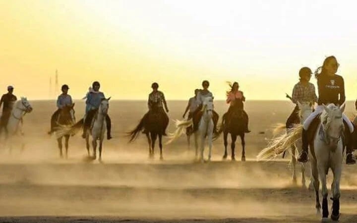 Horse Riding At Desert 2 Hours with Transfer - Sharm El Sheikh Image 6