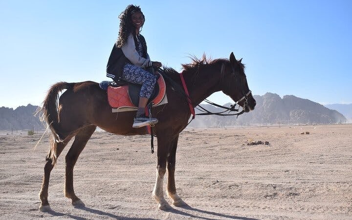 Horse Riding At Desert 2 Hours with Transfer - Sharm El Sheikh Image 7