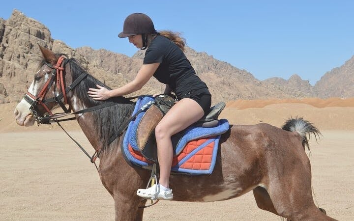Horse Riding At Desert 2 Hours with Transfer - Sharm El Sheikh Image 8