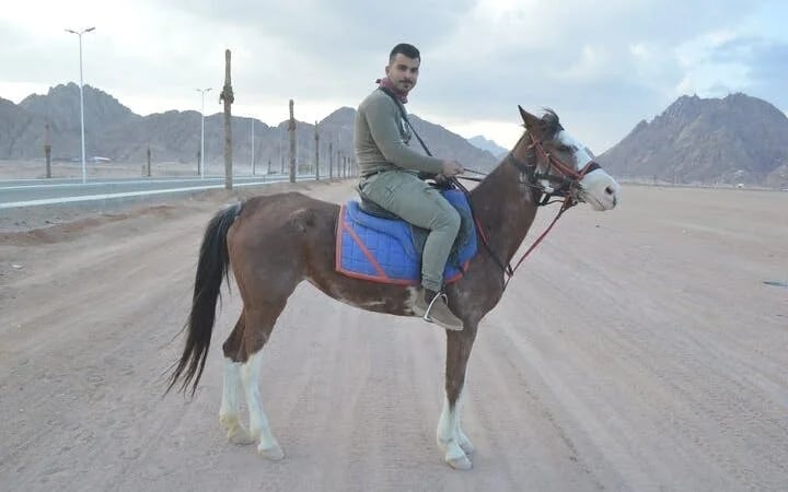 Horse Riding At Desert 2 Hours with Transfer - Sharm El Sheikh Image 9