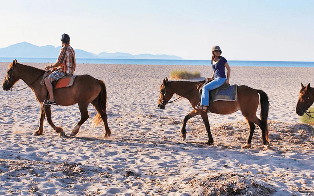 Horse Riding on the Beach in Mallorca Image 1