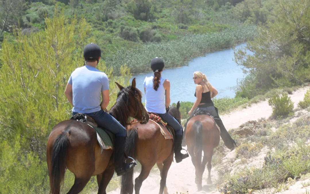 Horse Riding on the Beach in Mallorca Image 3