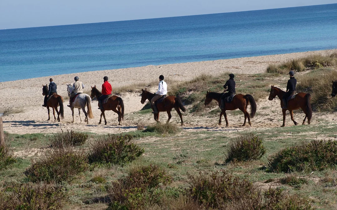 Horse Riding on the Beach in Mallorca Image 4