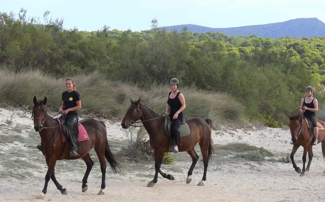 Horse Riding on the Beach in Mallorca Image 5