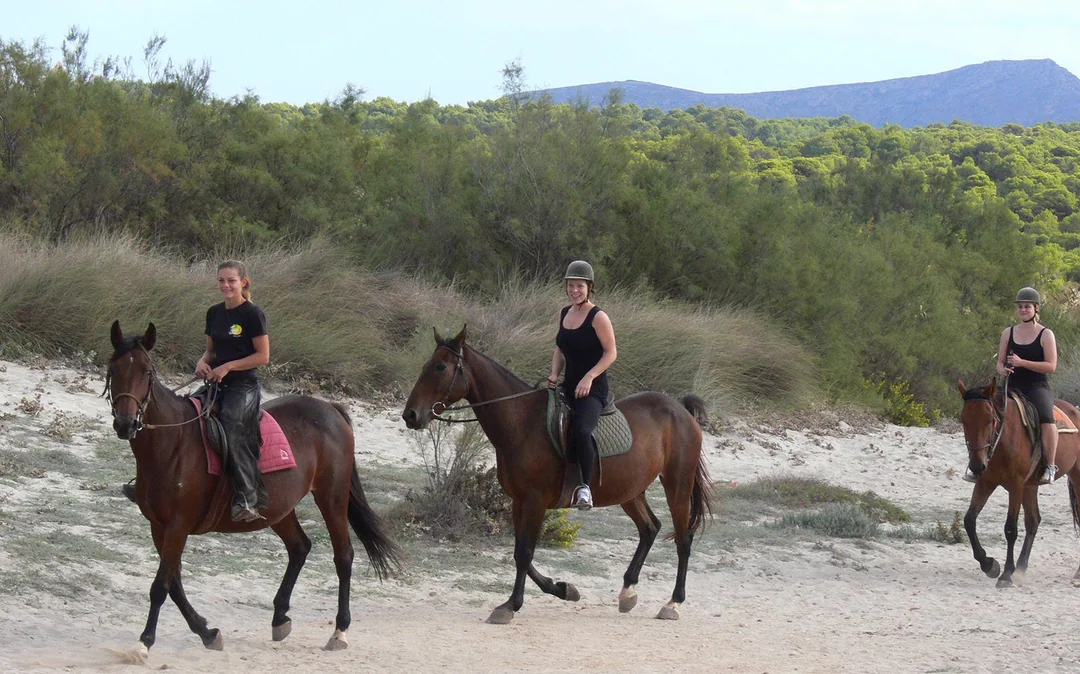 Horse Riding on the Beach in Mallorca Image 5