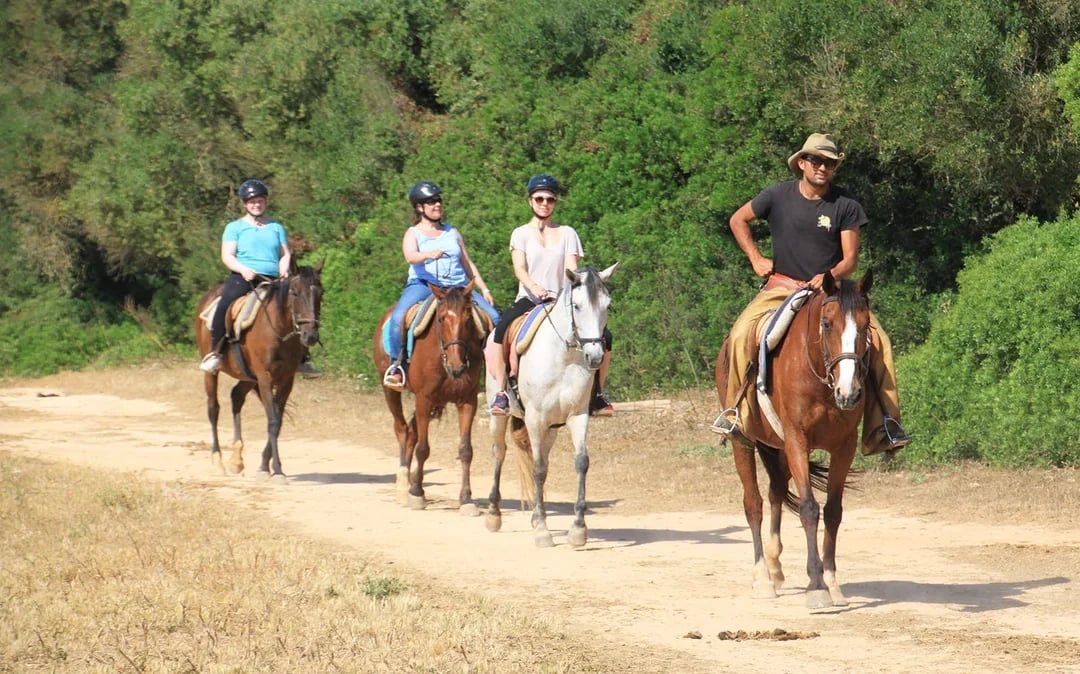 Horse Riding on the Beach in Mallorca Image 6