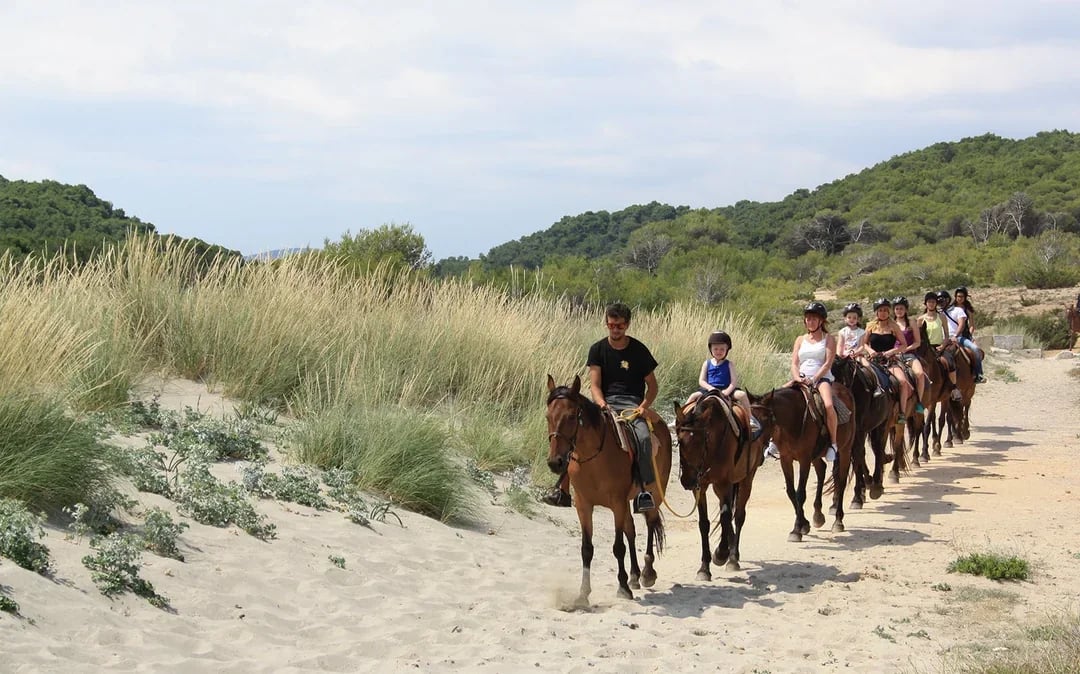 Horse Riding on the Beach in Mallorca Image 8
