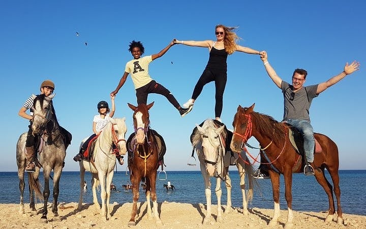 Horse Riding One Hour at Desert With Transfer - Sharm El Sheikh Image 2