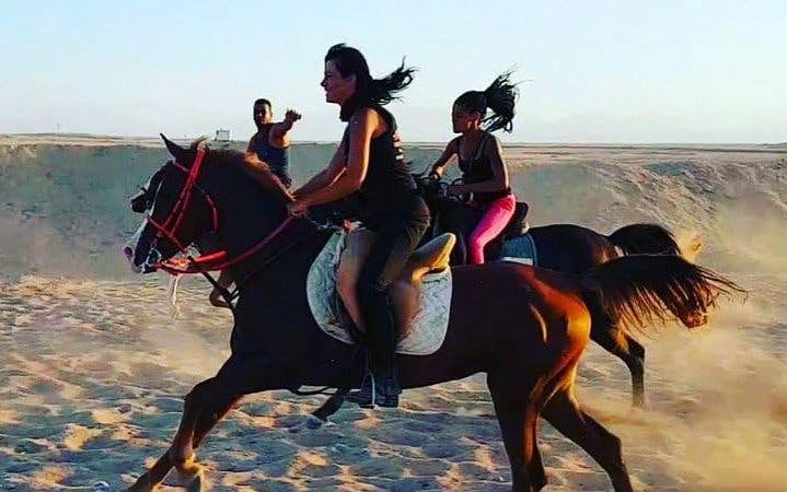Horse Riding One Hour at Desert With Transfer - Sharm El Sheikh Image 3