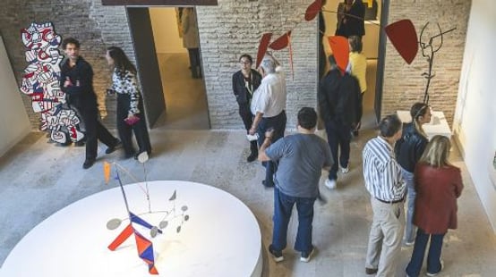 Hortensia Herrero Art Center: Entry Ticket Youth