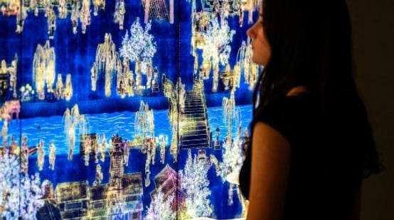 Hortensia Herrero Art Center: Entry Ticket Youth
