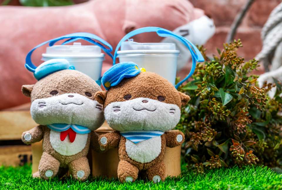 [KKday Exclusive] Hualien Farglory Ocean Park｜Popular merchandise