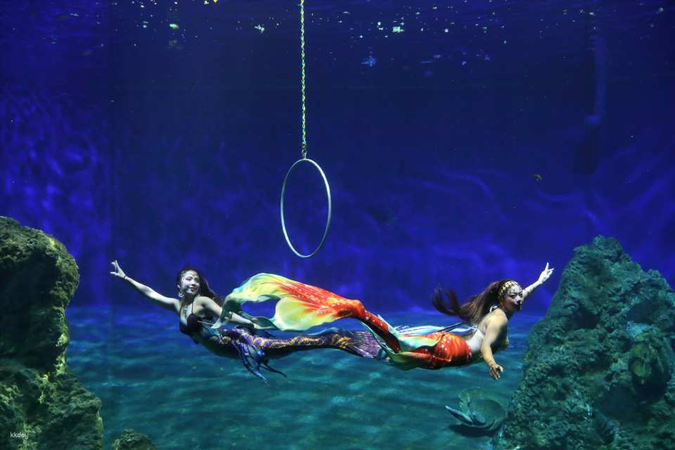 Hualien Farglory Ocean Park Tickets