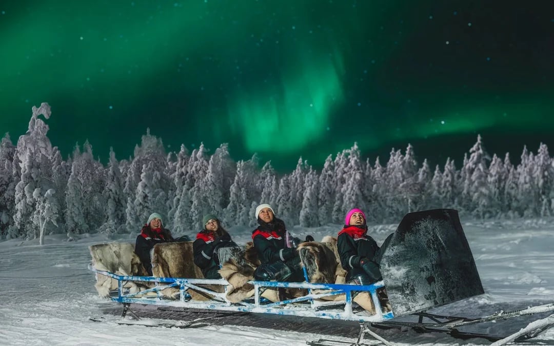 Hunting Northern Lights with Sleigh Ride Image 1