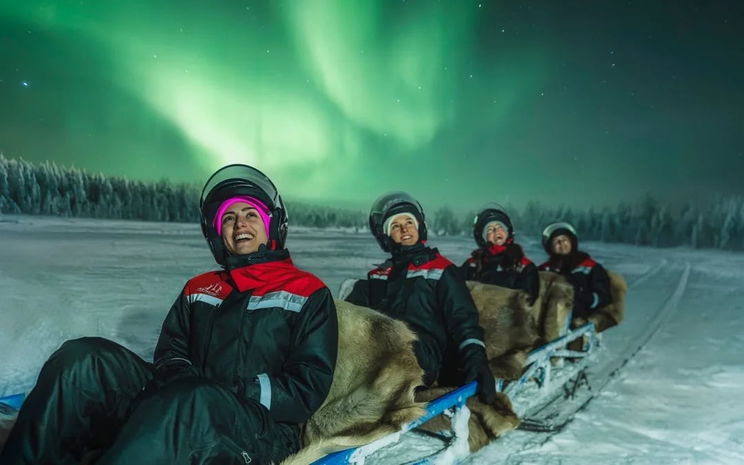 Hunting Northern Lights with Sleigh Ride Image 10